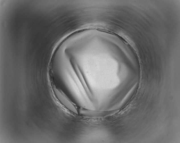 X0000071950960200608041550