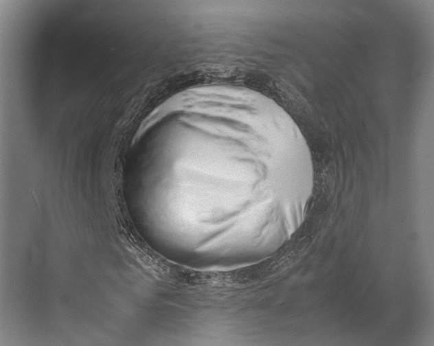 X0000071950961200608041549