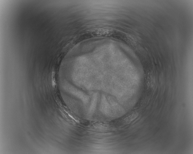 X0000071950962200608041549