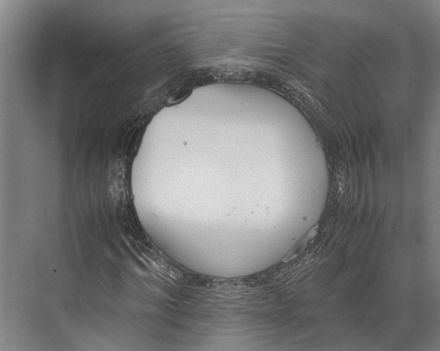 X0000071950964200608041549