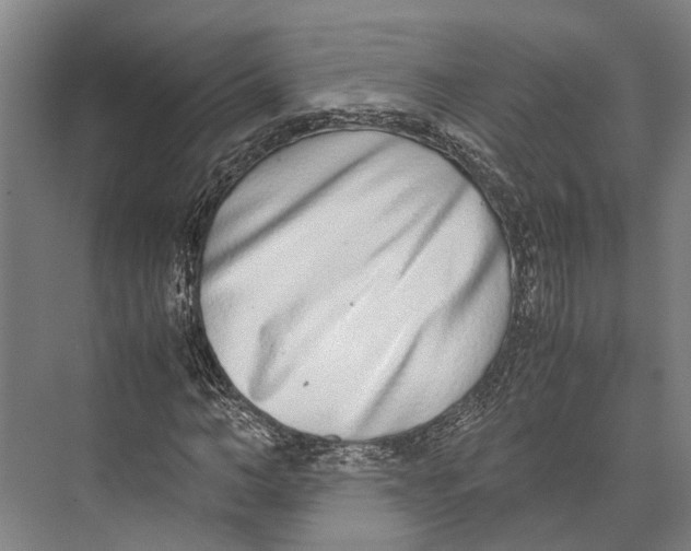 X0000071950966200608041549