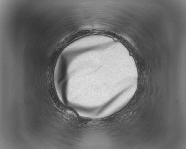 X0000071950967200608041549