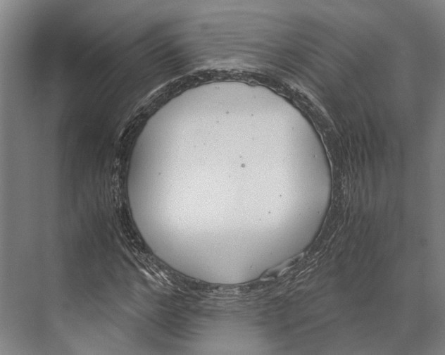 X0000071950968200608041549