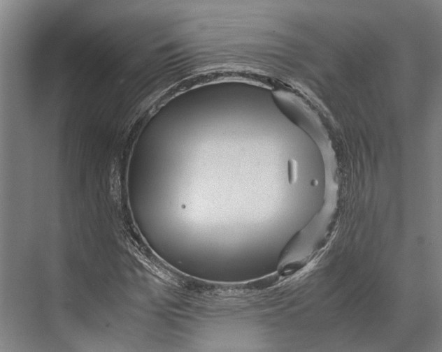 X0000071950969200608041549