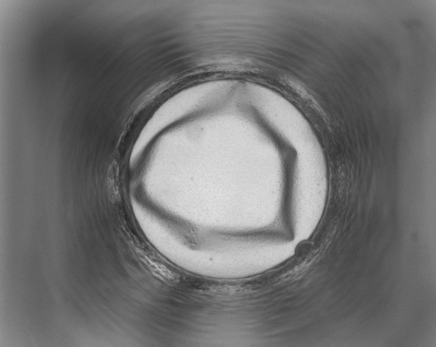 X0000071950970200608041549