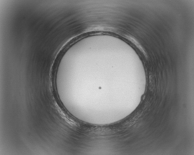 X0000071950972200608041549