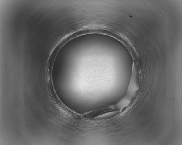 X0000071950973200608041549