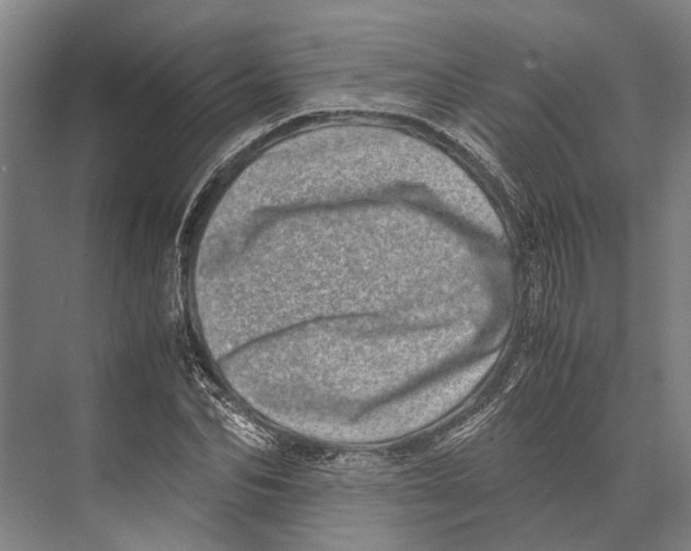 X0000071950974200608041549