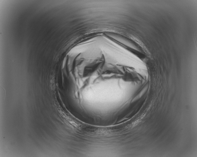 X0000071950977200608041549