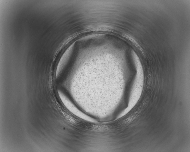 X0000071950978200608041549