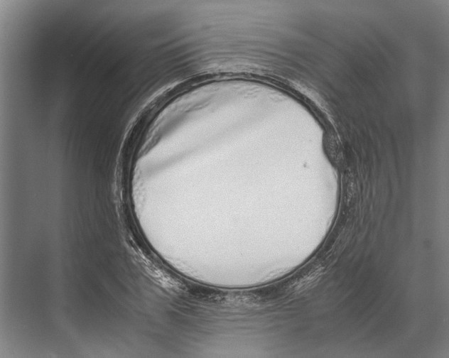 X0000071950979200608041549