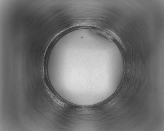 X0000071950980200608041549