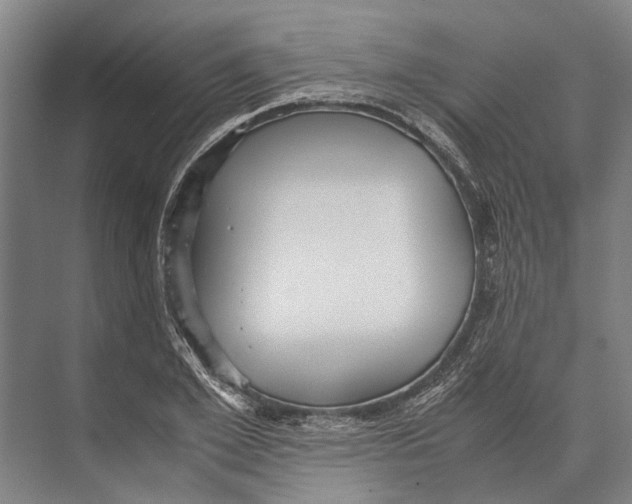 X0000071950981200608041549