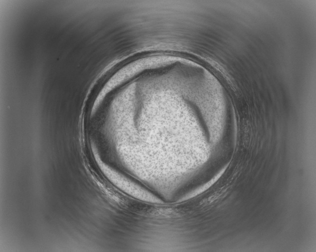 X0000071950982200608041549