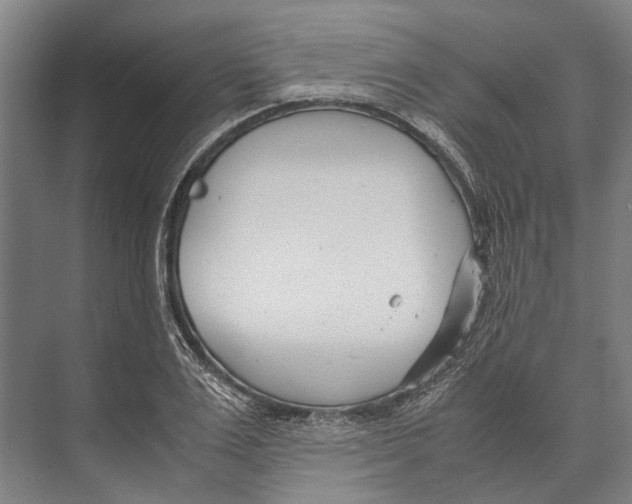 X0000071950983200608041549