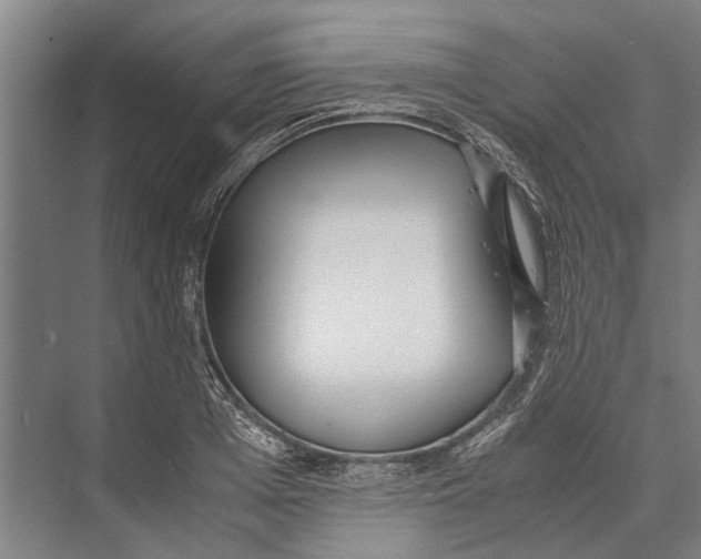 X0000071950985200608041549