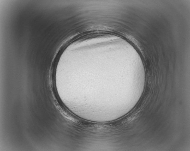 X0000071950987200608041548