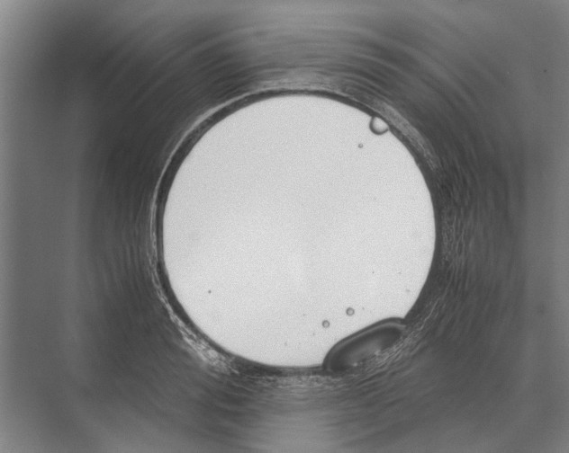 X0000071950988200608041548