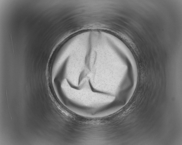 X0000071950990200608041548