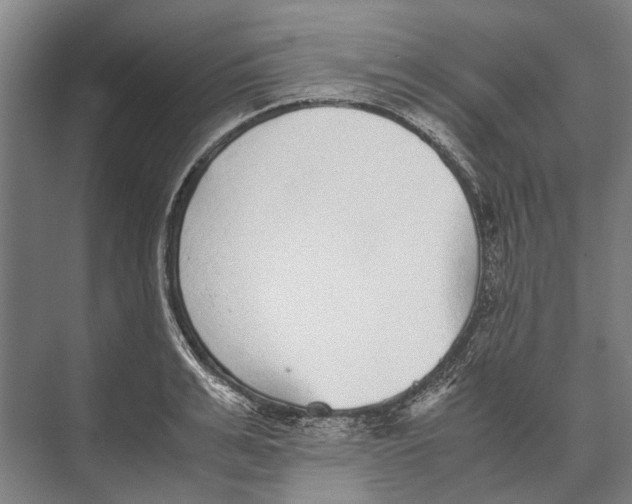 X0000071950991200608041548