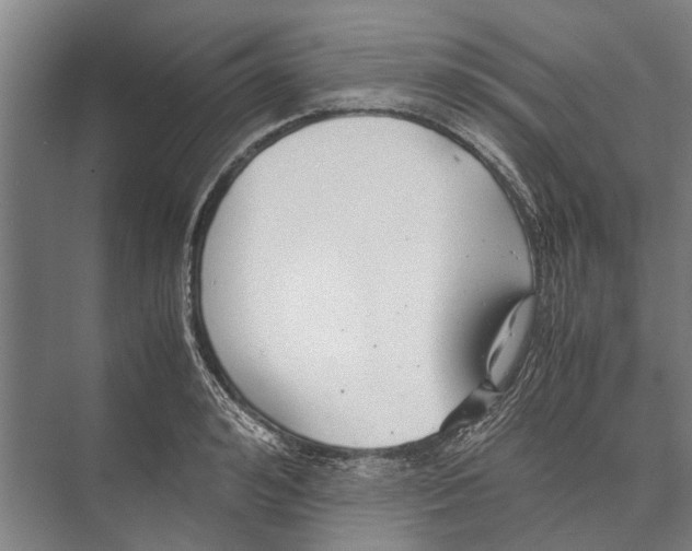 X0000071950992200608041548