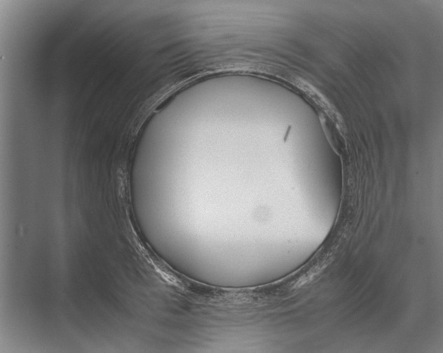 X0000071950993200608041548