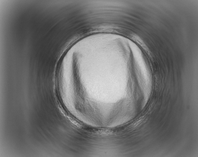 X0000071950994200608041548