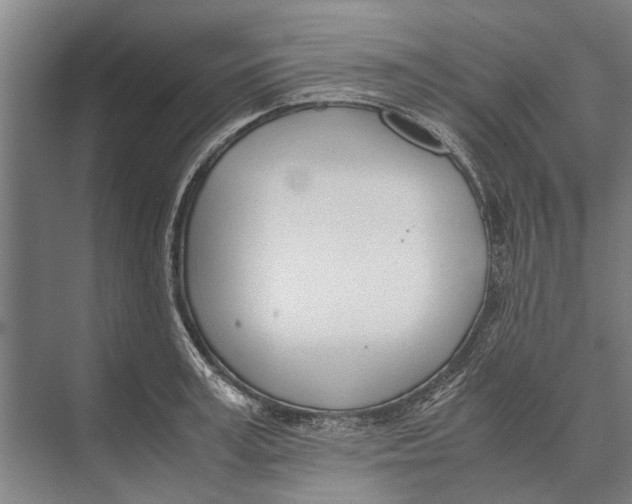 X0000071950995200608041548