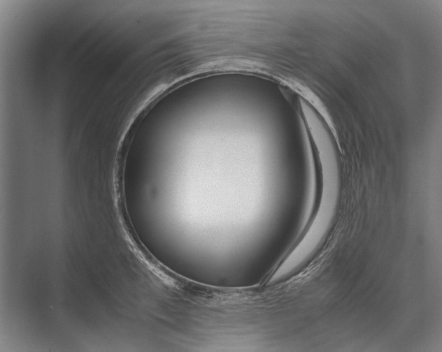 X0000071950997200608041548