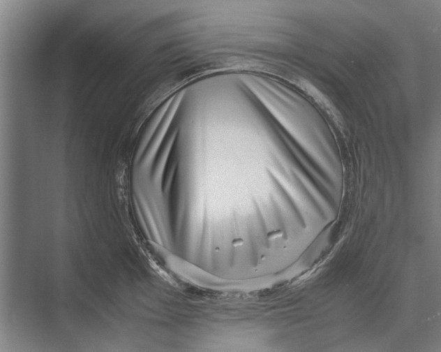 X0000071951001200608041548