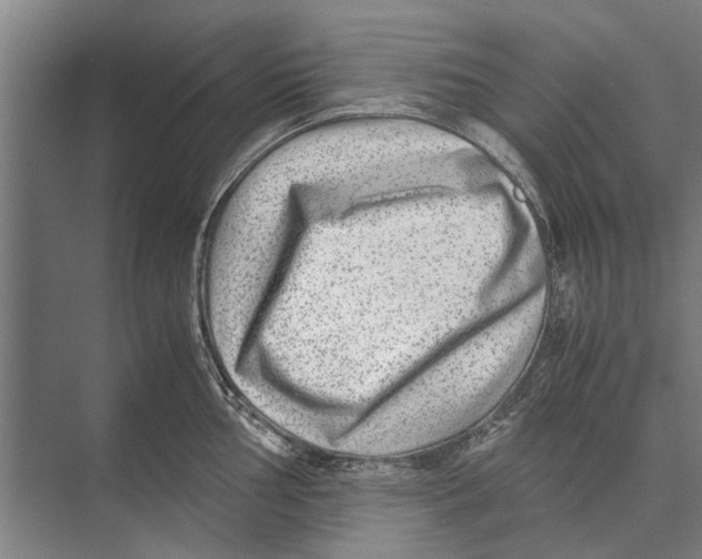 X0000071951002200608041548