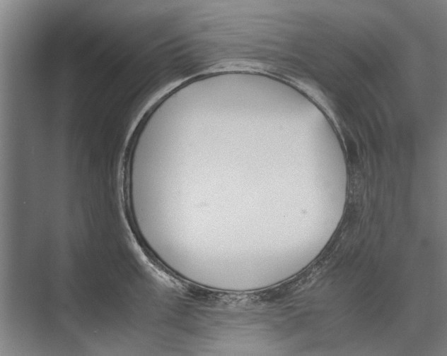 X0000071951003200608041548