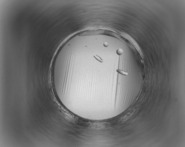 X0000071951004200608041548