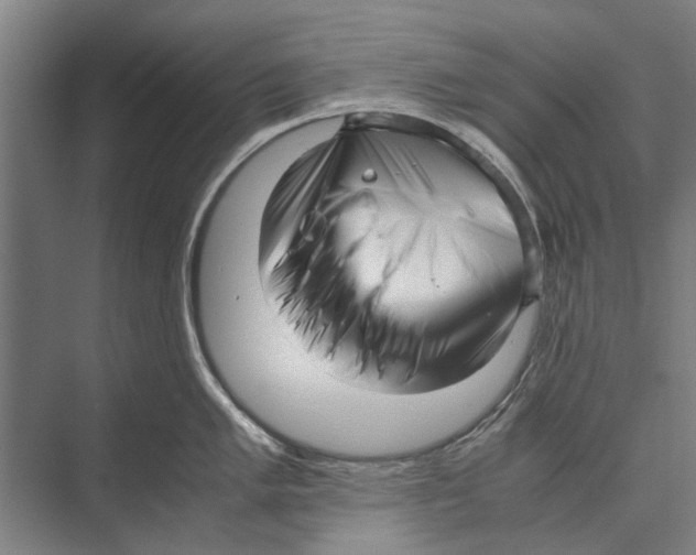 X0000071951005200608041548