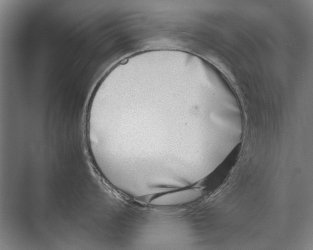 X0000071951008200608041548