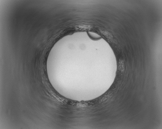 X0000071951009200608041547