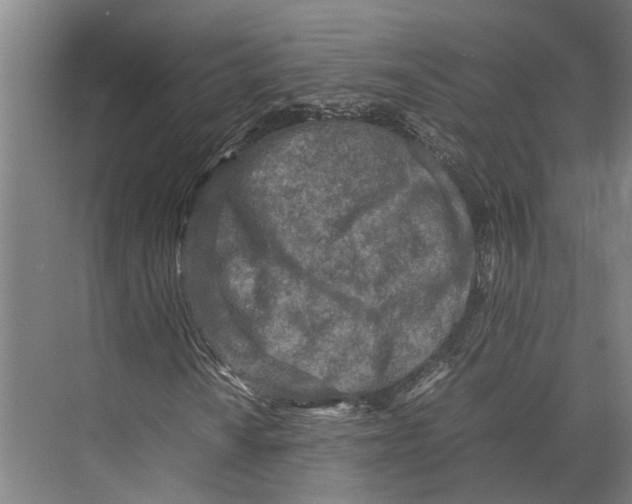 X0000071951010200608041547