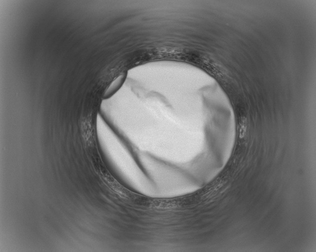 X0000071951011200608041547