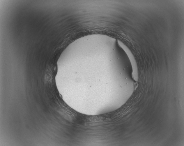 X0000071951012200608041547