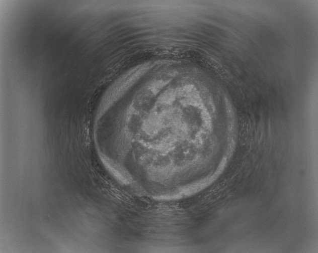 X0000071951013200608041547