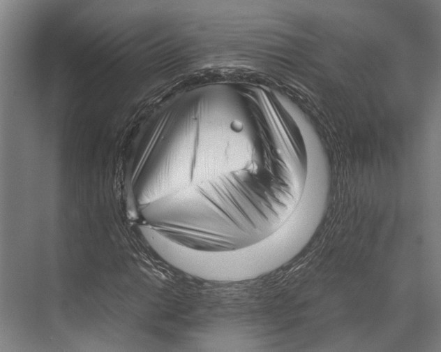 X0000071951014200608041547