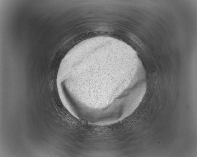 X0000071951015200608041547