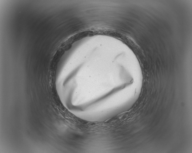 X0000071951016200608041547