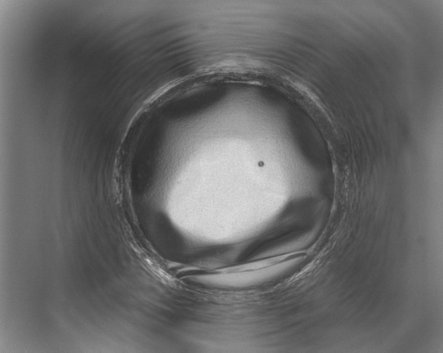 X0000071951018200608041547