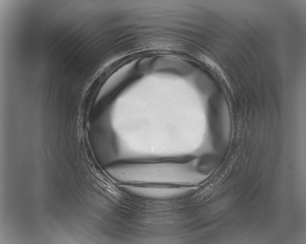 X0000071951019200608041547