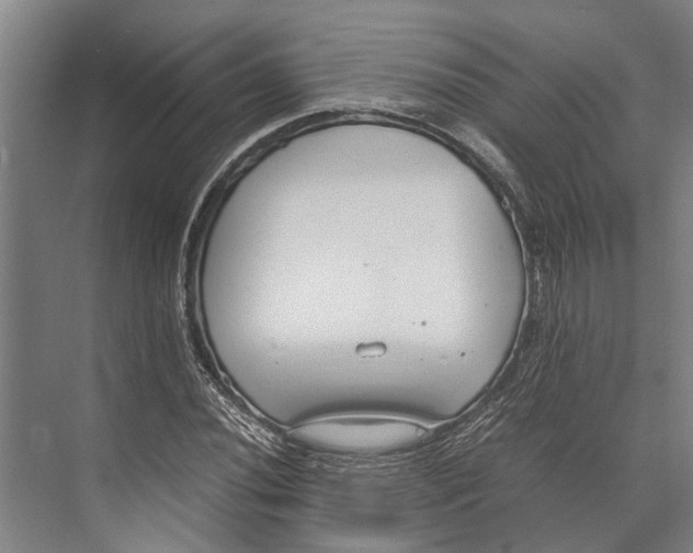 X0000071951020200608041547