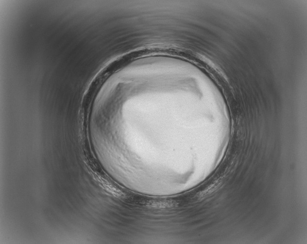 X0000071951021200608041548