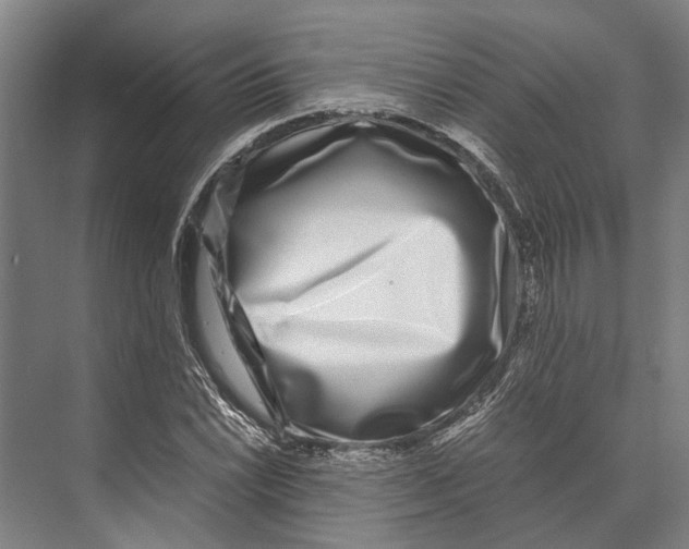 X0000071951022200608041548