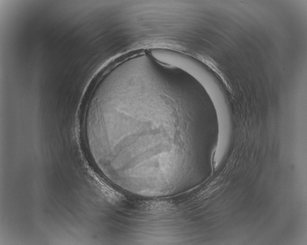 X0000071951024200608041548