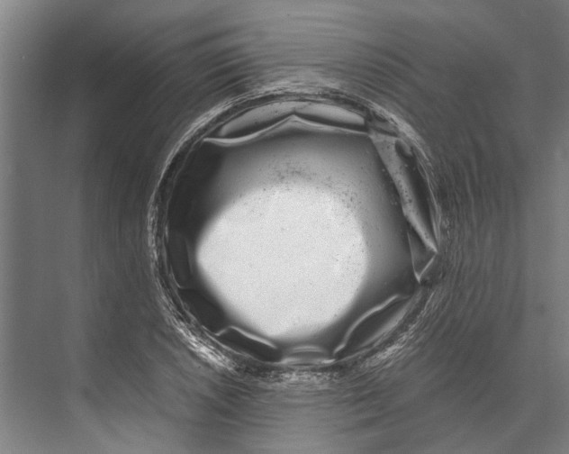 X0000071951026200608041548